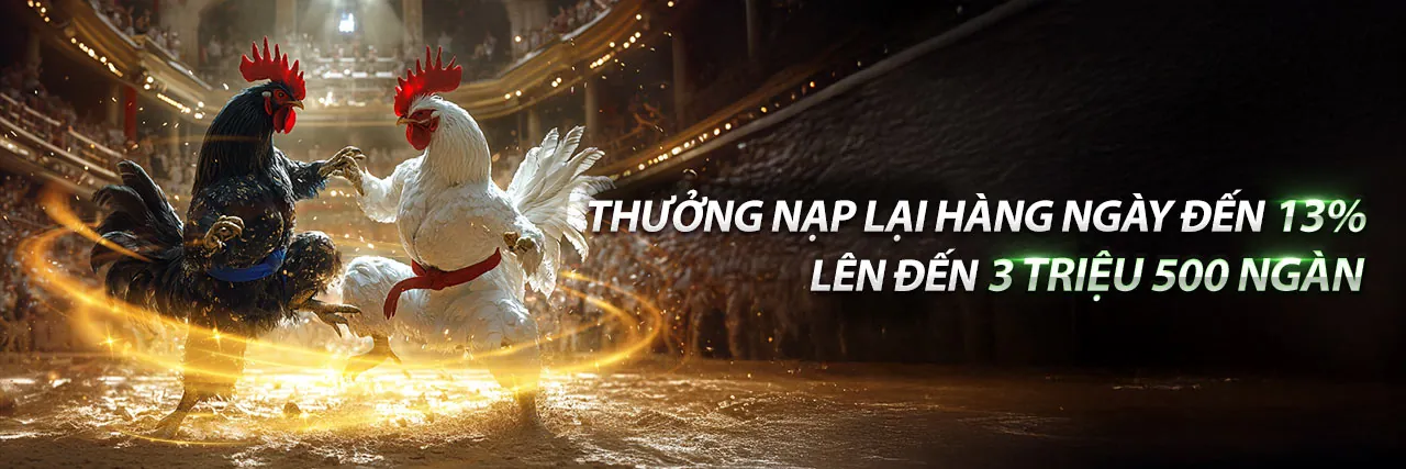 Đá Gà Trực Tuyến Vin7774